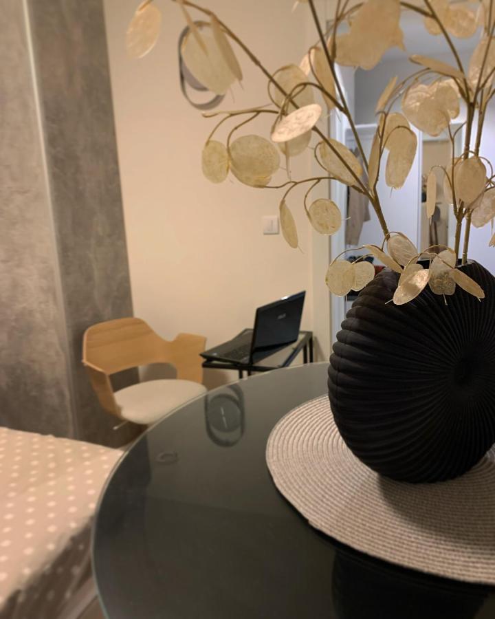 Dm Apartman Beograd 외부 사진